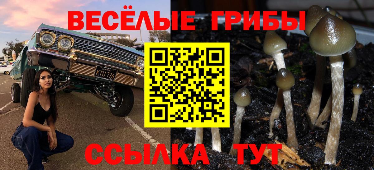 Псилоцибиновые грибы MAGIC MUSHROOMS  Псилоцибиновые грибы прущие грибы  Вход с VPN  Тавда 