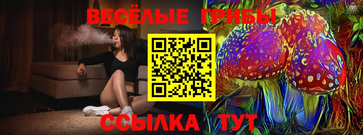Галлюциногенные грибы Cubensis Тавда
